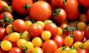 9 Manfaat Buah Tomat sebagai Bahan Dasar DIY Masker Wajah