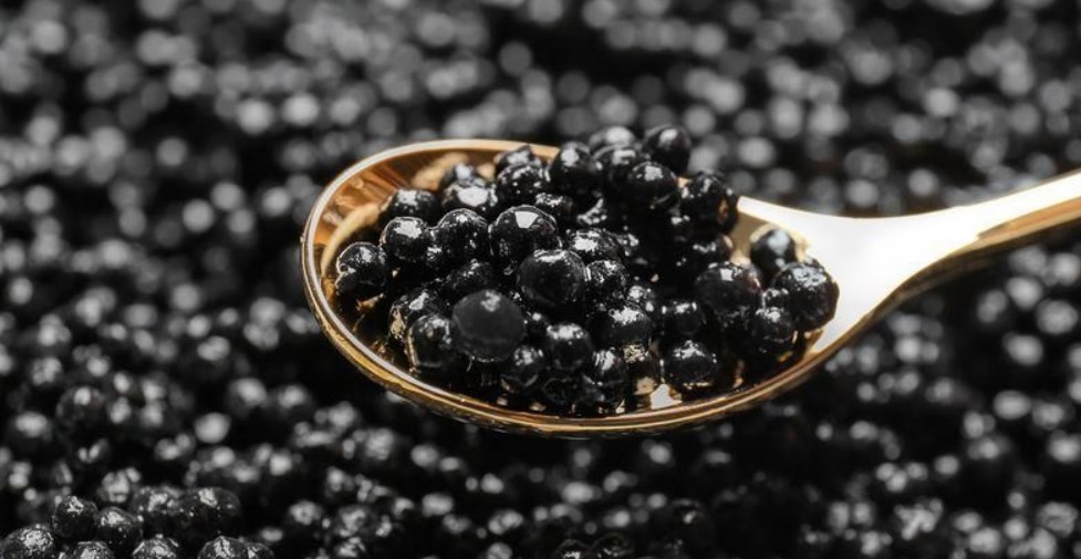 6 Manfaat Luar Biasa Kaviar bagi Kesehatan Tubuh, Gak Sekadar Mewah!