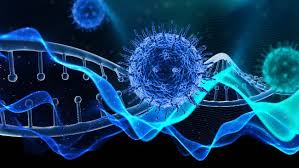 virus nipah
